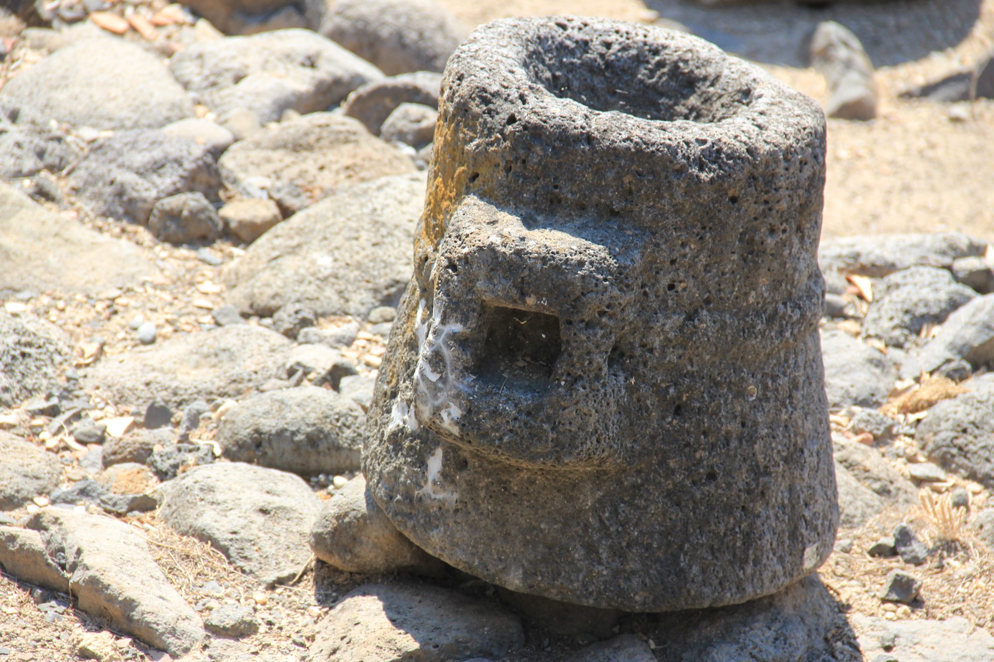 Capharnaum 42